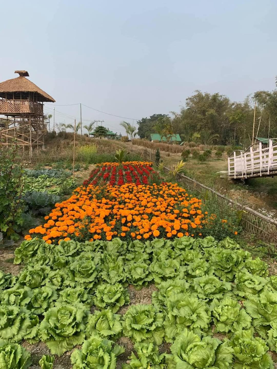 Bogibil Eco Resort New Dibrugarh Exterior foto